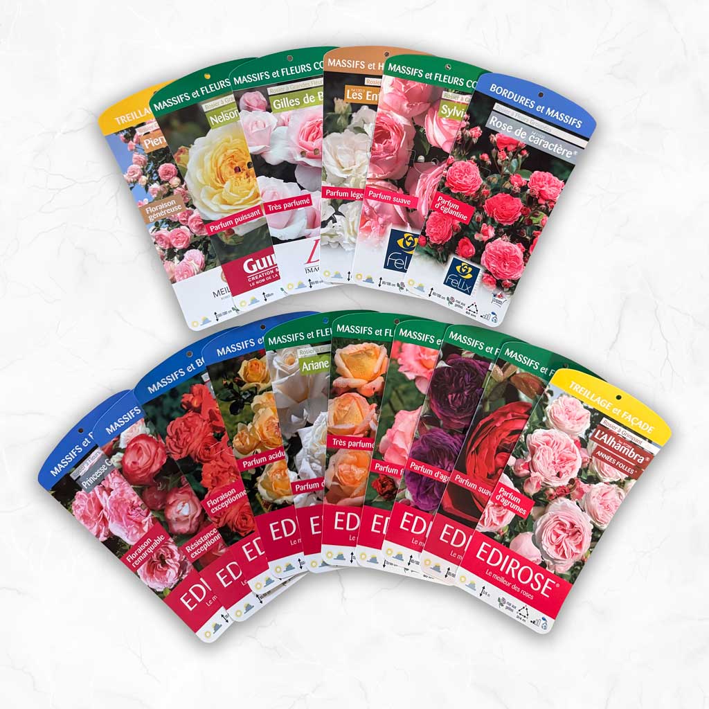 Digitalice_Etiquettes-3