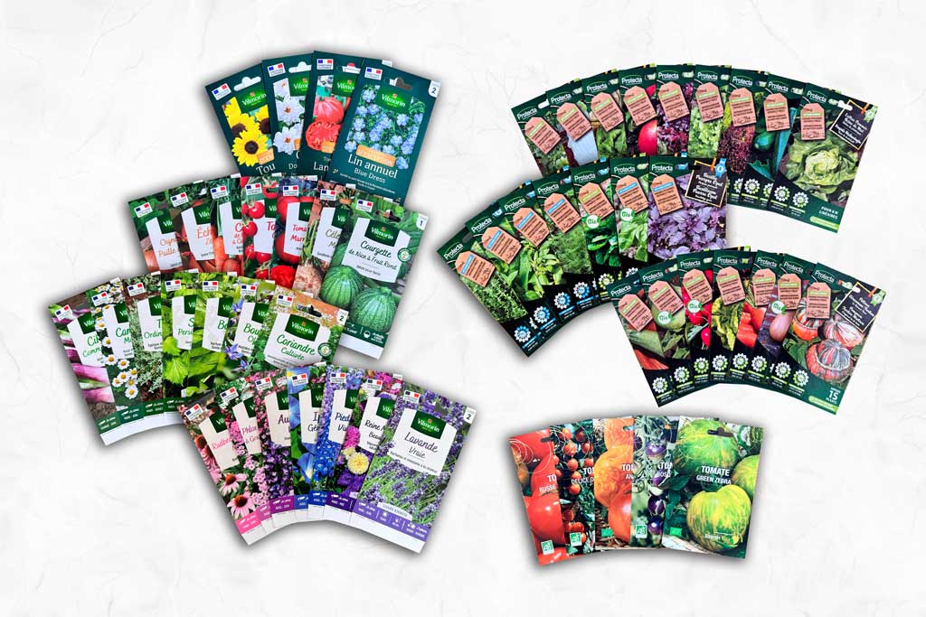 Digitalice_Sachets-grand-public-2